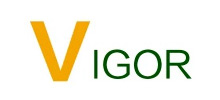 VIGOR