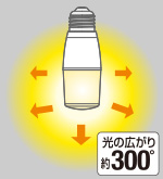 配光角約300°